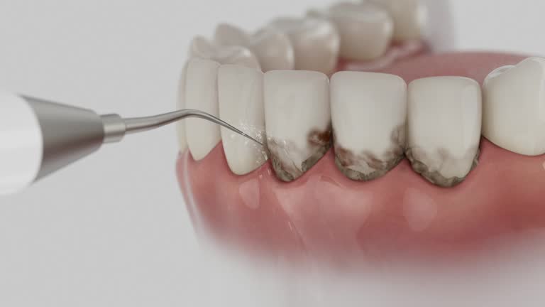 Reliable Dental contractor in Hoback, WY by Dentist Open Now